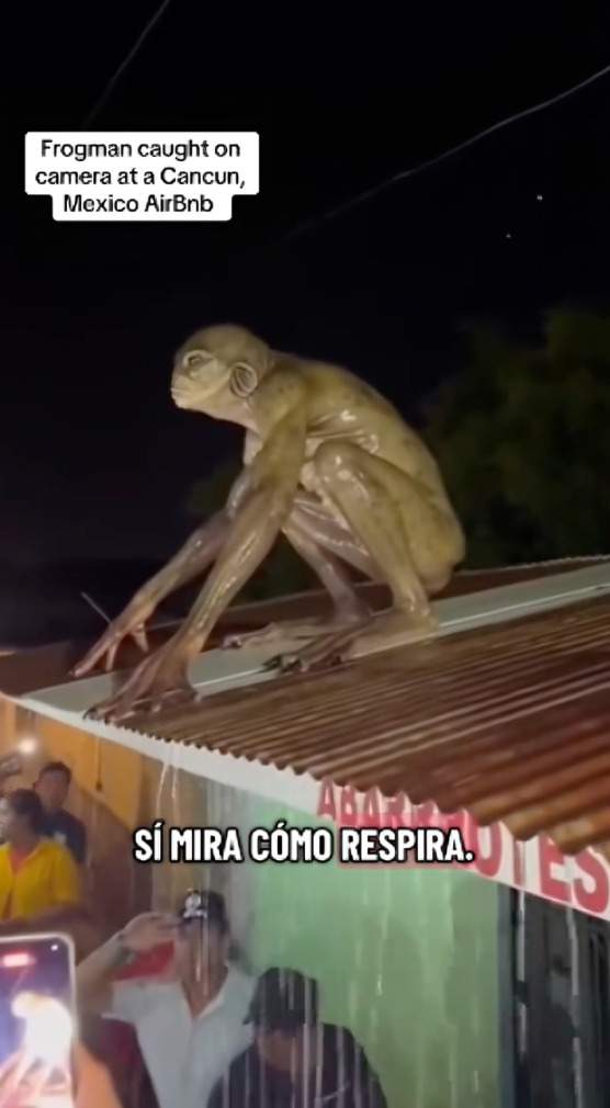 Graban a supuesto hombre rana en Cancún