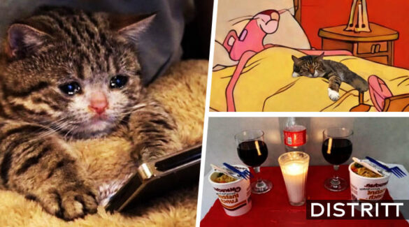 14 de febrero. Mejores memes del Día del Amor y la Amistad
