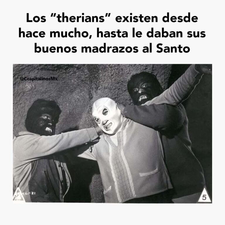 Los mejores memes sobre los therians |FOTOS