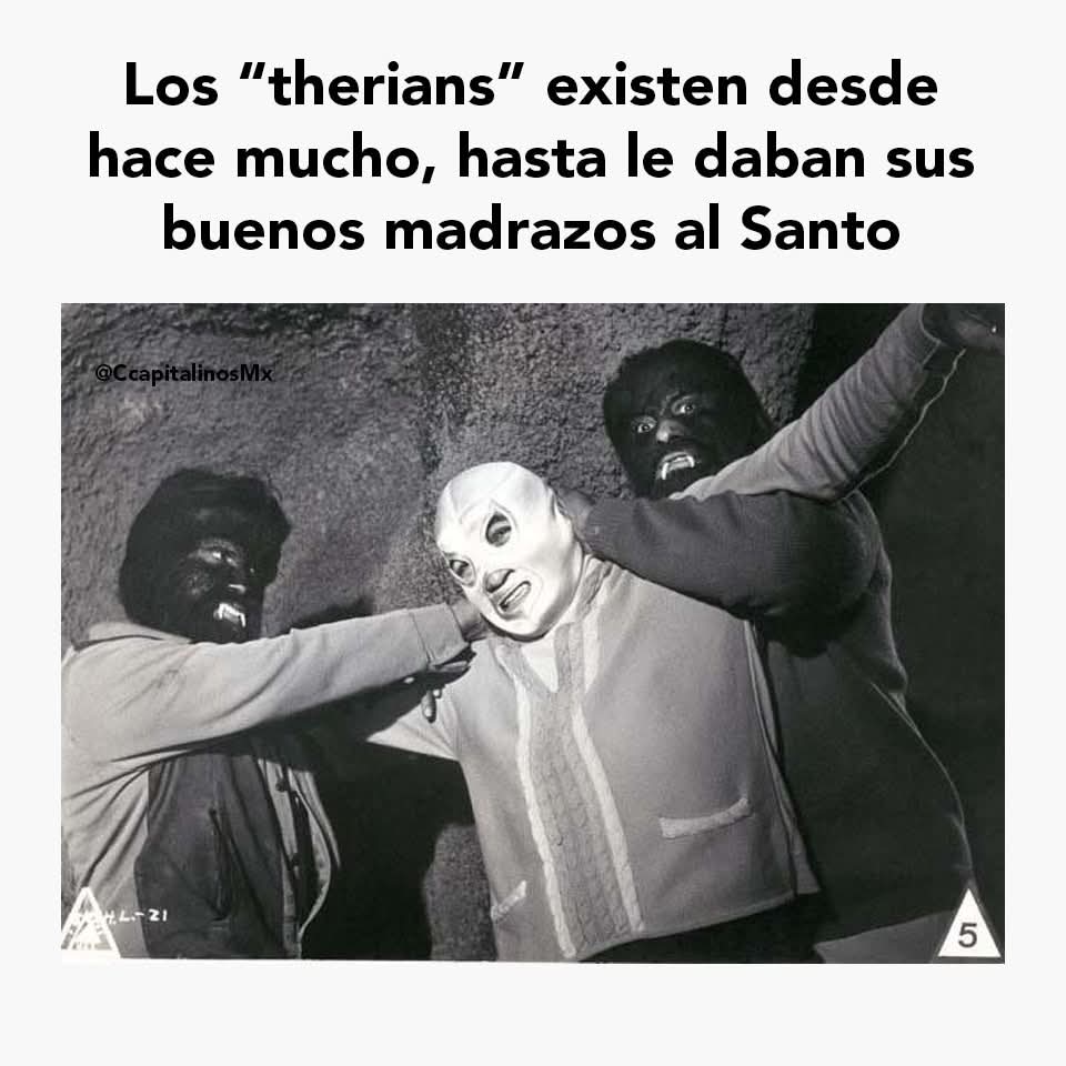 Meme sobre therians