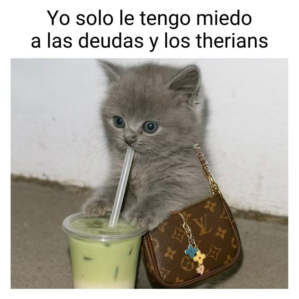 Meme sobre la vida de los therian
