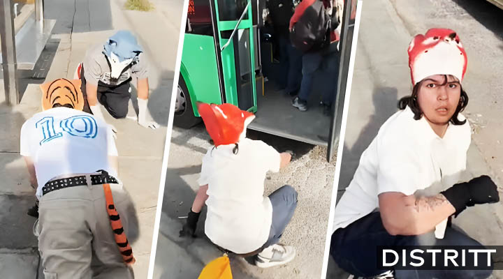 Chofer de camión niega la entrada a grupo de therians |VIDEO
