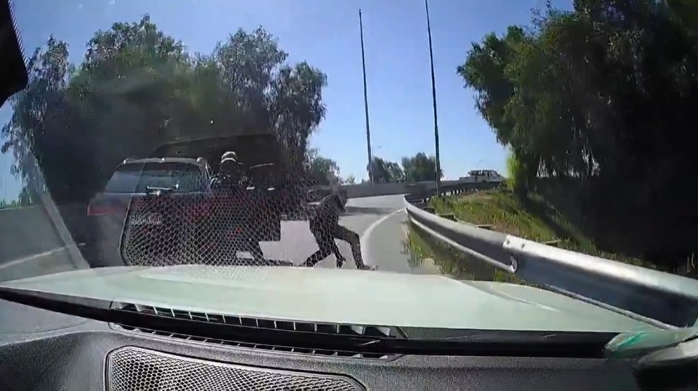 conductor frustra asalto tras atropellar a asaltante