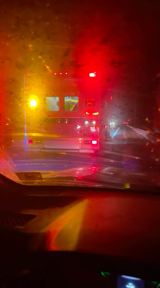 Joven confunde pitón con serpiente boca de algodón