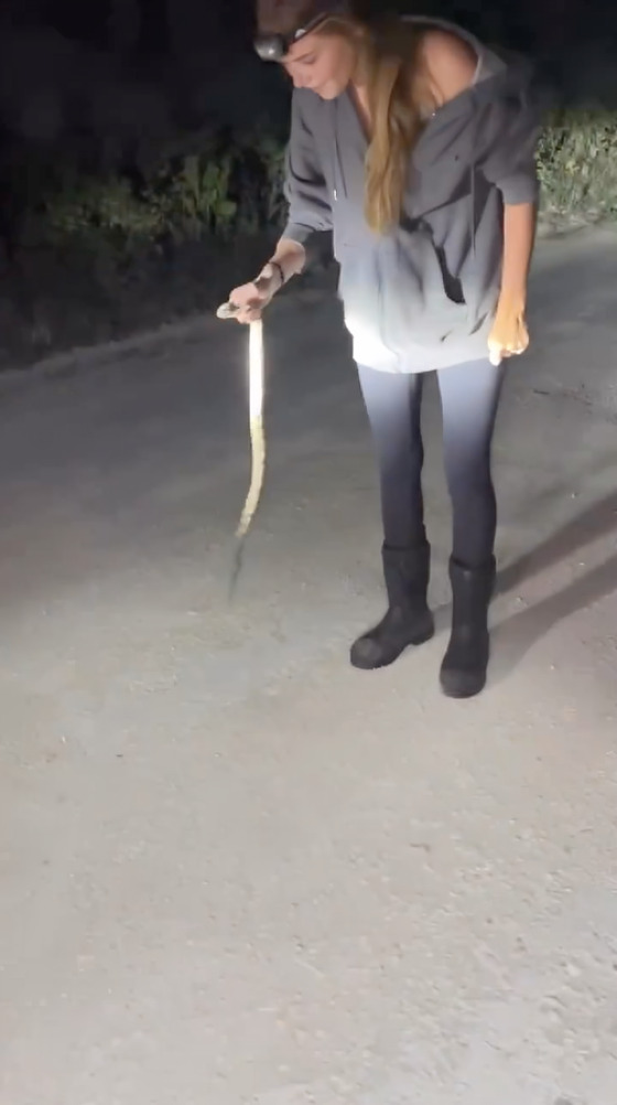 Joven confunde pitón con serpiente boca de algodón