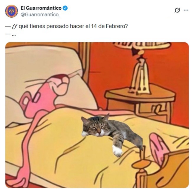 Memes divertidos 14 de febrero 