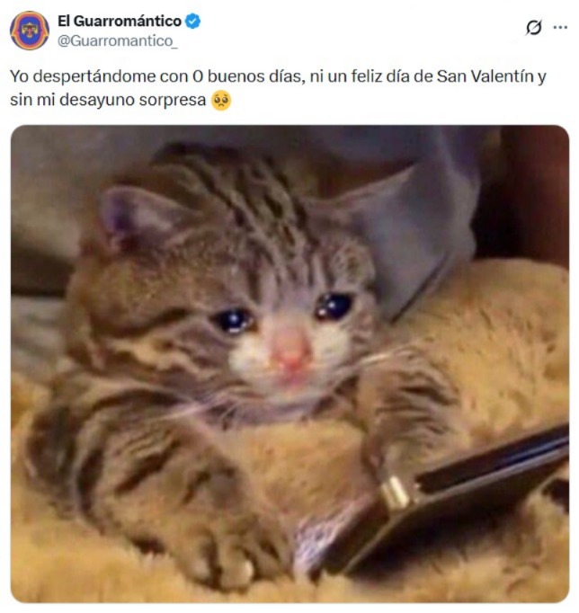 Memes de solteros 14 de febrero 