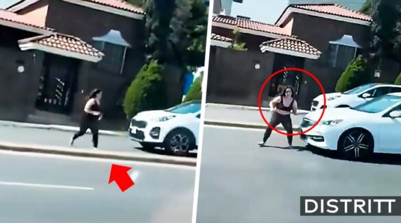 Monterrey. Mujer se lanza a vehículos y la atropellan