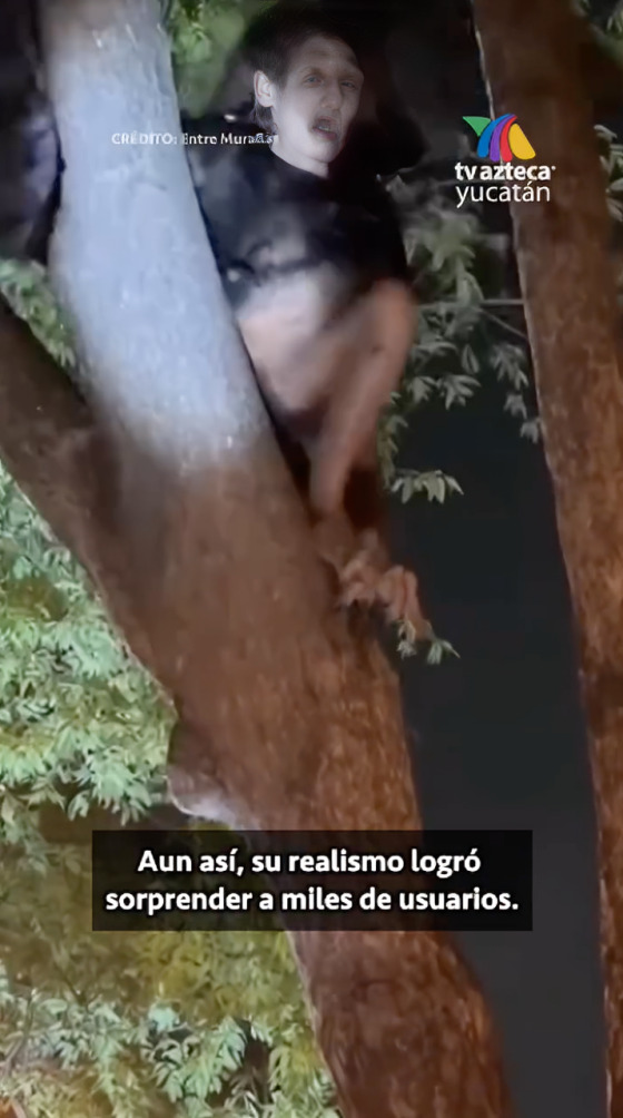 Captan a supuesta bruja con cuerpo de cuervo en árbol