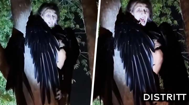 Captan a supuesta bruja con cuerpo de cuervo en árbol