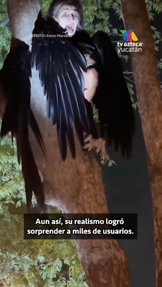 Captan a supuesta bruja con cuerpo de cuervo en árbol