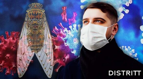Cigarra, nueva variante de COVID-19 | Estos son los síntomas