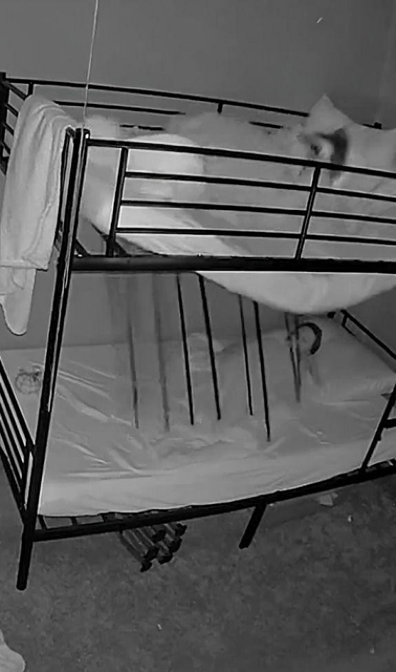 Litera se desploma y cae sobre niño que dormía