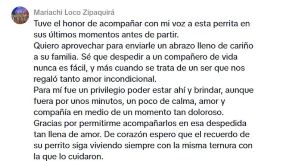 Video conmueve a internet 