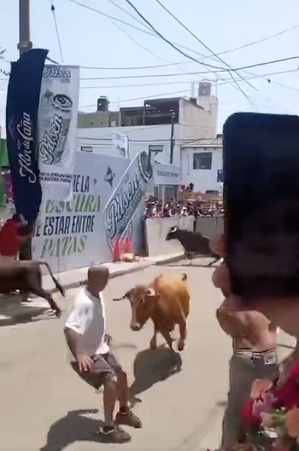 Toro embiste a hombre en feria y lo deja fulminado