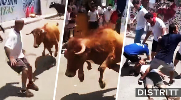 Toro embiste a hombre en feria y lo deja fulminado |VIDEO