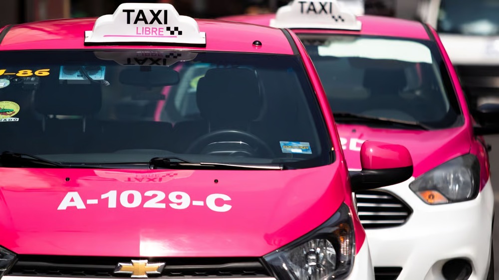 Identifican a traxista que transportó a Erika N