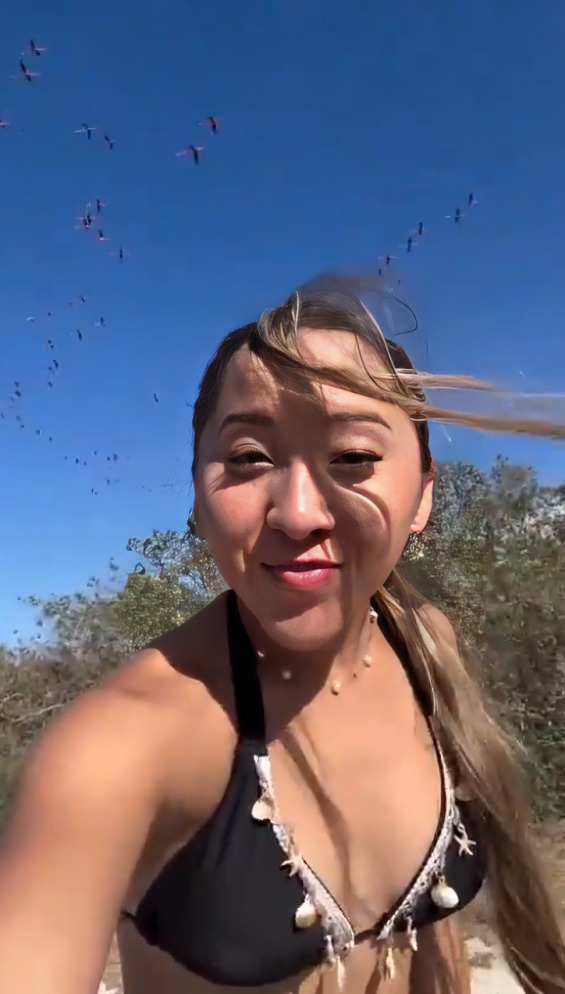 Influencer ahuyenta flamencos con música a alto volumen