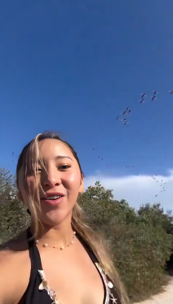 Influencer reacciona a críticas por asustar a flamencos