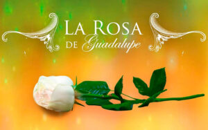 Fallece actor de La Rosa de Guadalupe tras grave enfermedad