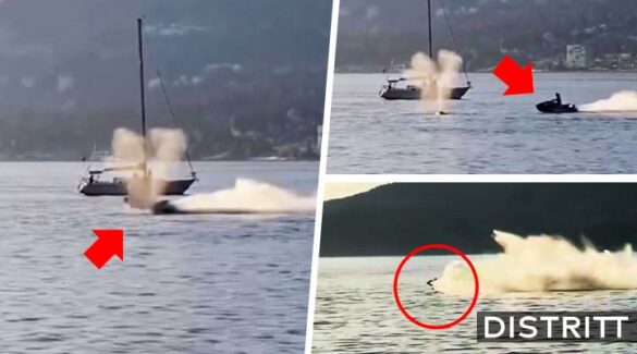 Hombre en moto acuática atropella a ballena gris |VIDEO