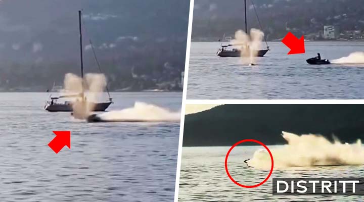 Hombre en moto acuática atropella a ballena gris |VIDEO