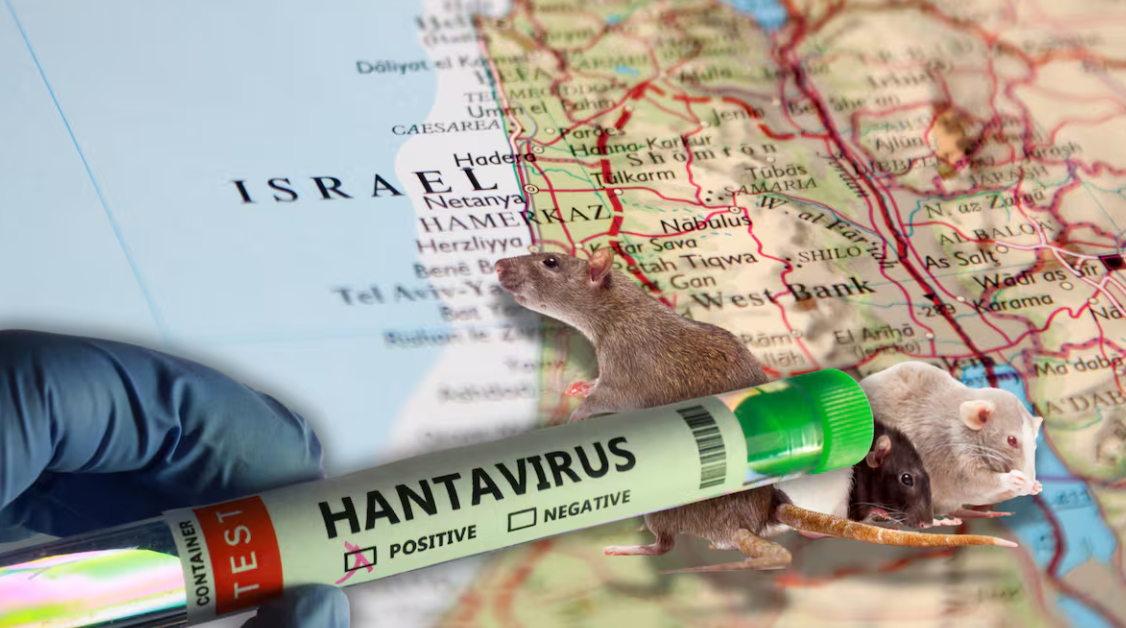 Hantavirus en el mundo