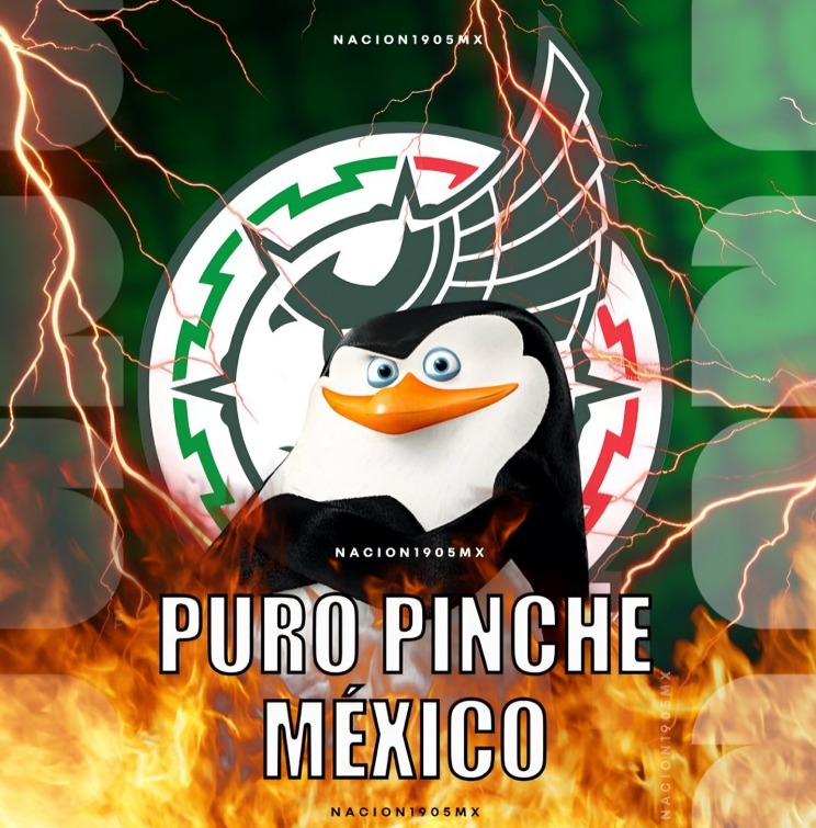 Afición celebra triunfo de México ante Corea
