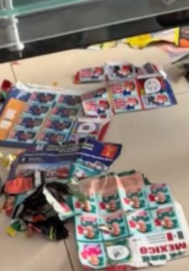 Perro destruye álbum Panini del Mundial 2026