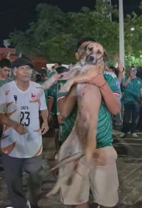 Reencuentran a perrita extraviada en festejo