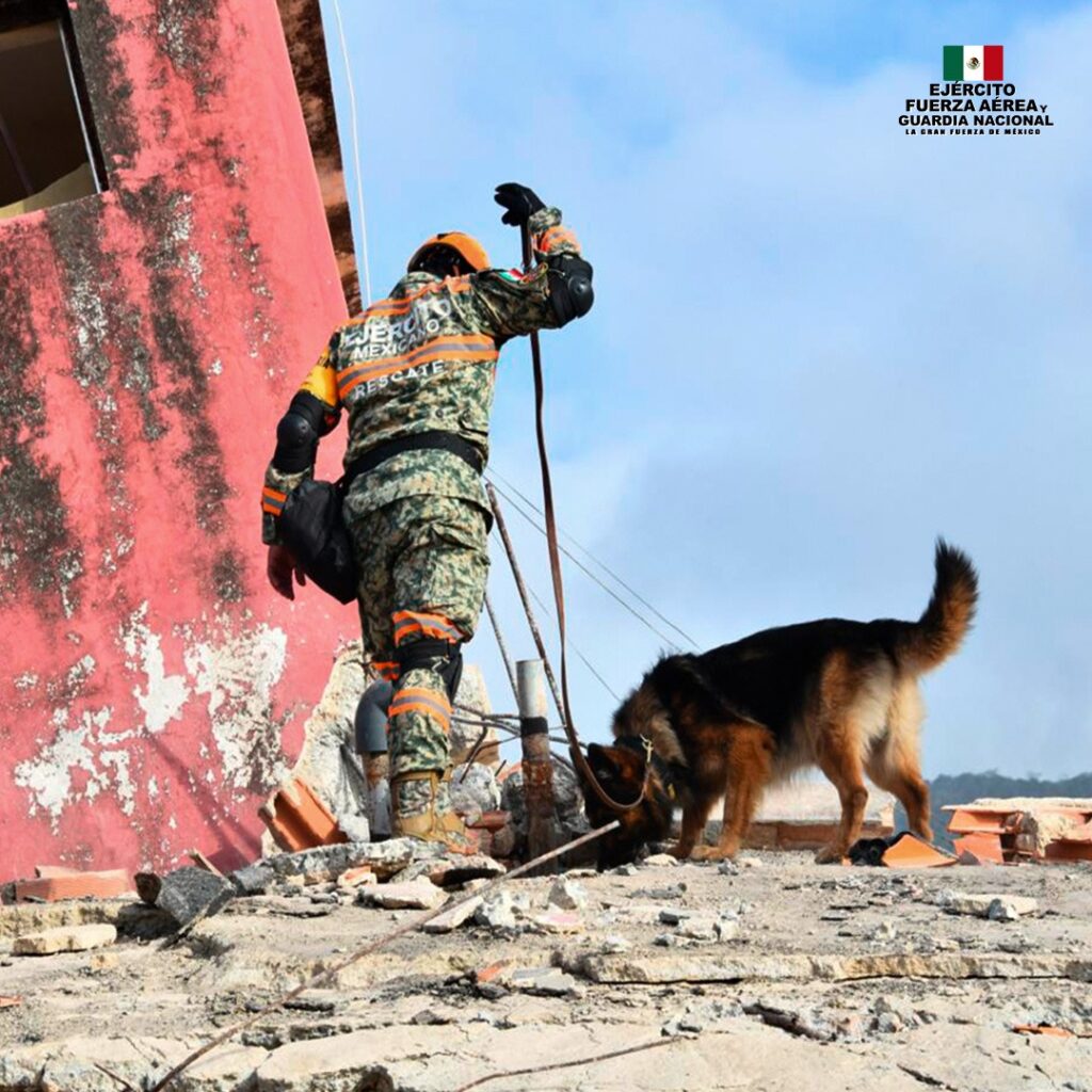 Max forma parte de los binomios caninos del Ejército Mexicano desplegados en Venezuela.