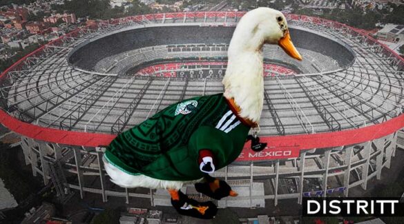 Merlín, el pato mundialista que está rompiendo las redes