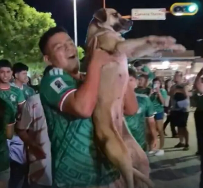 Perrita perdida reaparece celebrando triunfo del Tri