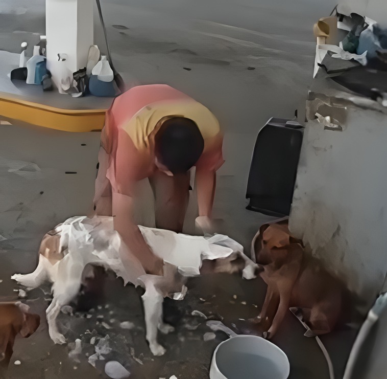 Despiden a gasolinero por bañar a lomitos en su descanso