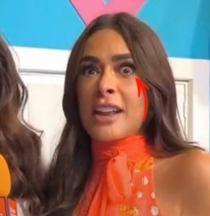 ¿Qué se hizo la conductora Galilea Montijo?