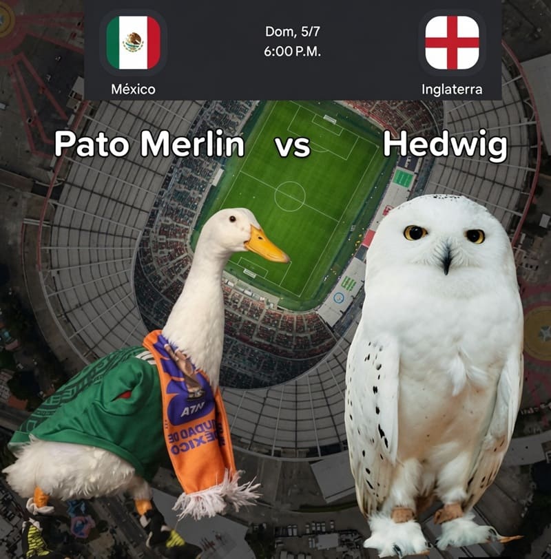 Memes del Mundial partidos de México